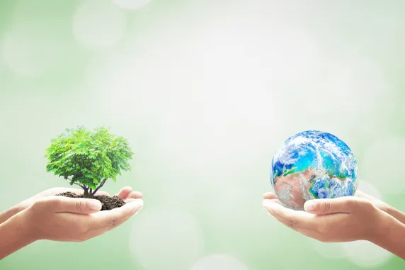 social cultural sutainability