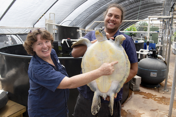  Charles Darwin University Turtle Rehabilitation Centre workers Kathy Kellam and Daniel Costa with Jolie the turtle