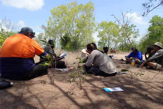 people sitting on the ground near trees