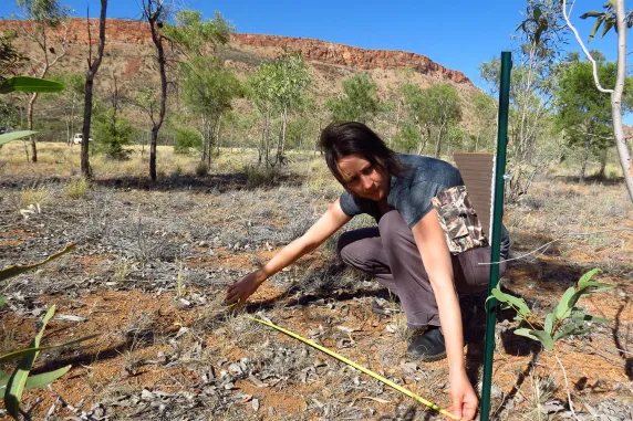 Senior Research Fellow Dr Christine Schlesinger