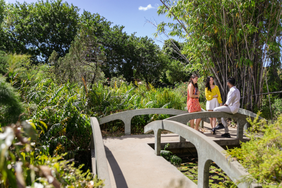 Diverse international students talking in a lush garden