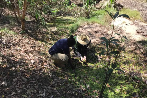 CDU student Joelene and her peers on an environmental science field trip