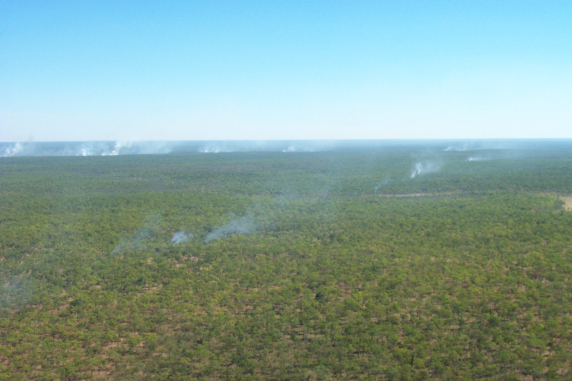 Aerial view of savannah bushland with smoke from small scattered fires