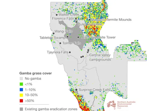 Map showing distribution of gamba grass in Litchfield National Park in 2021–22
