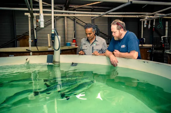 two people stand over water tank