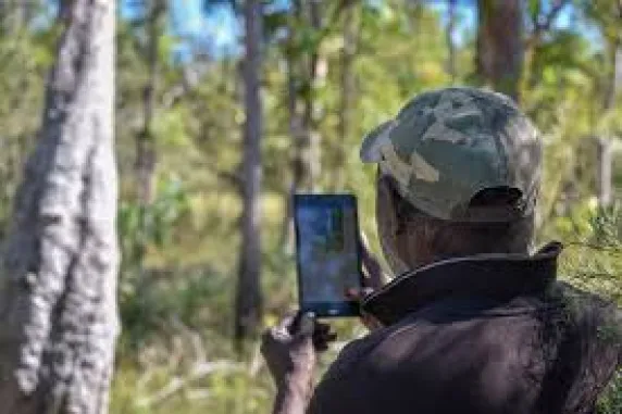 Aboriginal researcher uses mobile-assisted technology in remote forest 