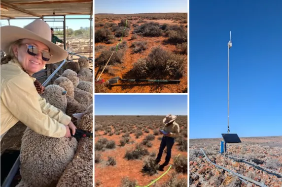 Samnatha's work studies grazing in South Australia's arid zone