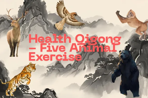 tai chi animal