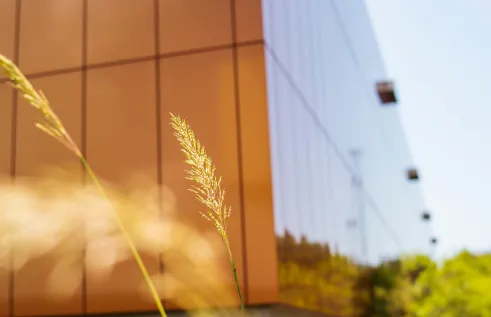 Orange 12, Casuarina Campus