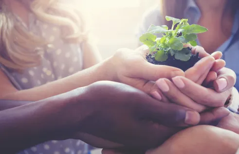 sustainability get involved 2