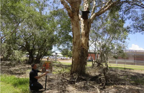 environment livelihood story