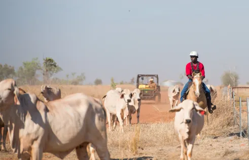 Agriculture and rural operations