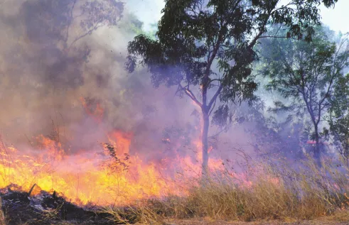 Fire - credit K. Thorburn