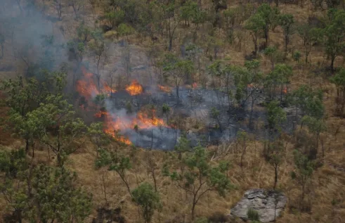 Fire landscape image by Brett Murphy