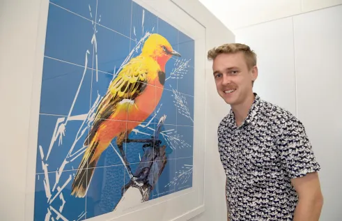 Robin Lepit and yellow chat 