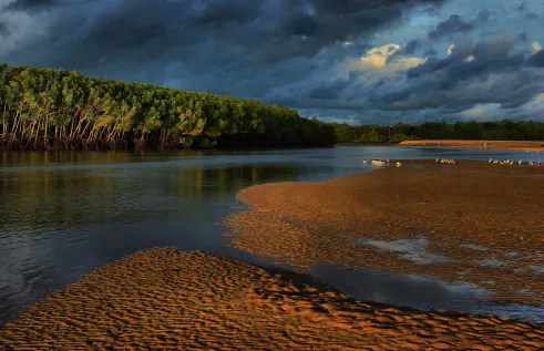 River bank image by Keith MCGuinness
