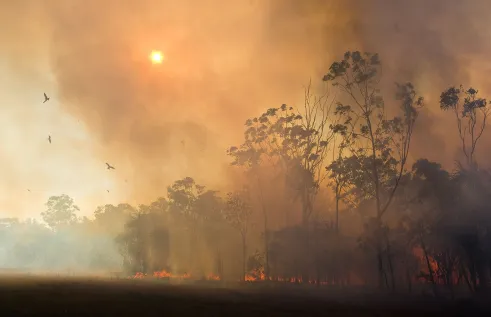 fire and smoke landscape