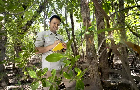 PhD candidate Sigit D. Sasmito