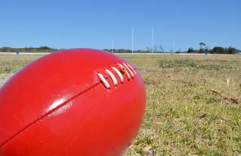 Adelaide Crows Football on grass