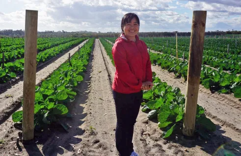 Dr Thi Tam Duong has completed research into the perceptions of Vietnamese farmers towards biosecurity threats in Australia