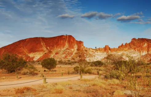 Rachel Ashton Head Banner
