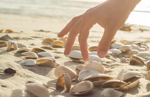Someone picking shells on the beach