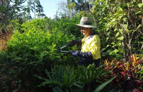 John smiling while pruning a bush