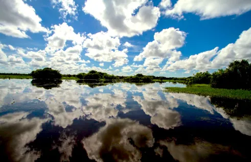 water with trees around it and bright blue sky and clouds reflected in it