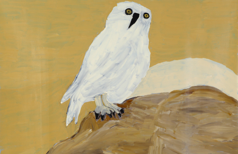 Nyangulya Katie Nalgood, The Owl, 2018, acrylic on canvas, 101 x 122 cm, CDU Art Collection; CDU3236