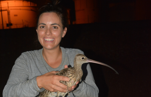 Charles Darwin University research associate Dr Amanda Lilleyman with a Far Eastern Curlew, the focus of her research in the Top End