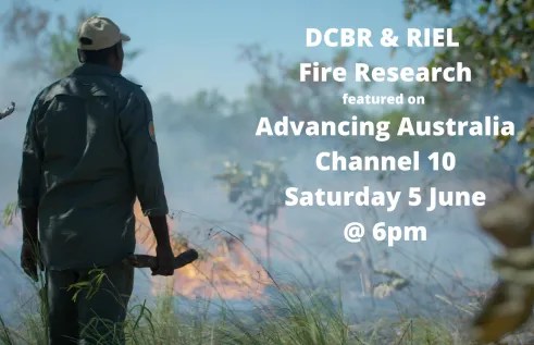 Man with back to camera facing burning grass