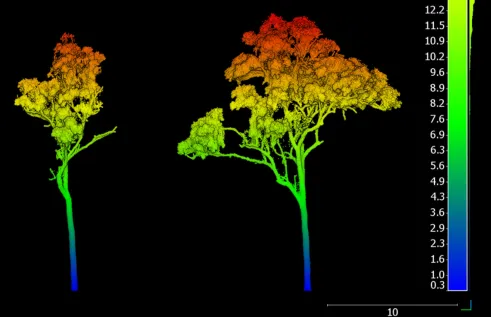 a tree from two angles in different colours with colour scale beside