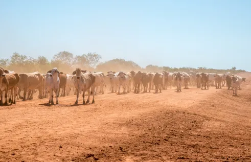 agricultural-research-funding-boost