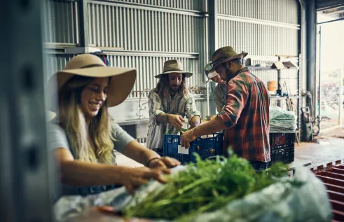 agricultural-and-food-manufacturing