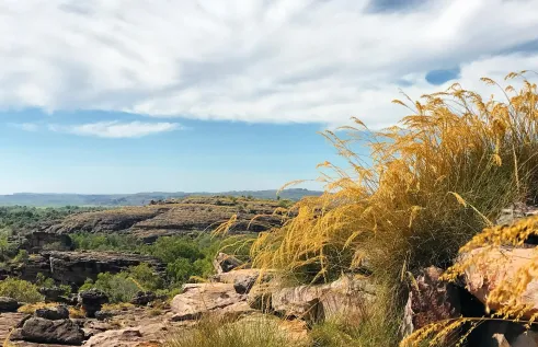 Kakadu Nawurlandja Lookout landscape