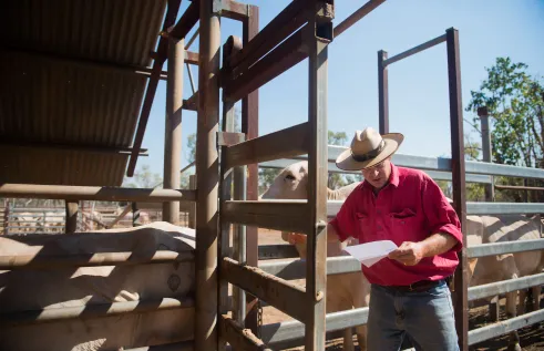 A Youth Futures Group has been established by Charles Darwin University (CDU) in the Big Rivers region to support building the regions capability to meet current and future employment and workforce needs. 