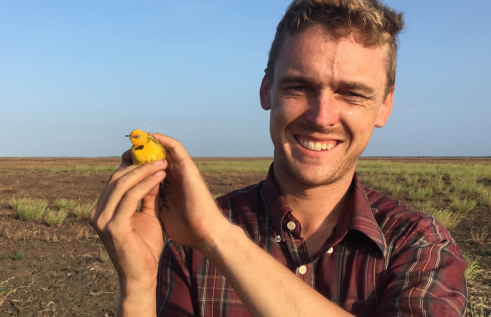 Dr Robin Leppitt head and shoulders, holding a small yellow bird with both hands, green flat plain in background