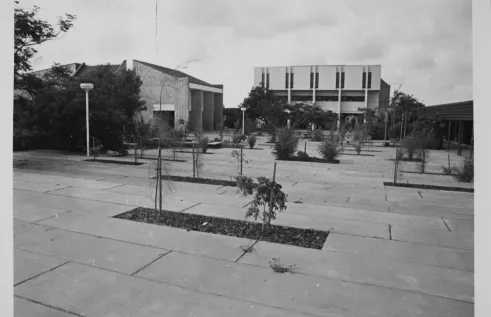 Darwin Community College