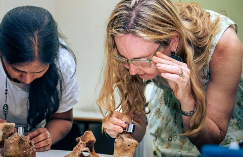 Charles Darwin University (CDU) will host a two-day science workshop for teachers in the Territory starting Friday, November 18.