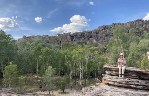 landscape with rocky escarpment in background, open forest in middle distance, and a large rocky outcrop with a person sitting on top in the foreground