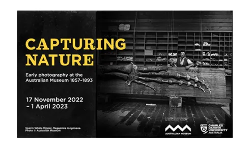 Capturing nature exhibition