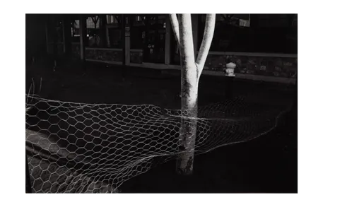 PAUL HOPPER “Urban image series, Darwin”, 1980 Photograph 19.9 h x 30.3 w cm [image] 26.5 h x 35.4 w cm [paper] Acquired through the CDU Art Acquisition Fund, 1980 Charles Darwin University Art Collection, CDU4