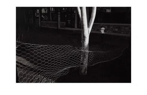 PAUL HOPPER “Urban image series, Darwin”, 1980 Photograph 19.9 h x 30.3 w cm [image] 26.5 h x 35.4 w cm [paper] Acquired through the CDU Art Acquisition Fund, 1980 Charles Darwin University Art Collection, CDU4