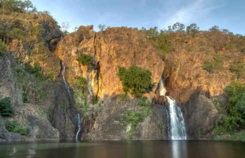 About 30% of Litchfield National Park could be infested with gabba grass in 10 years.