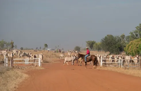 Katherine Rural Campus
