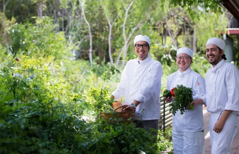 students in a herb garden