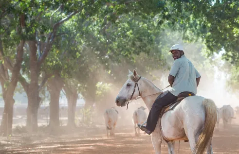 Student on horseback