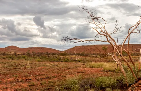 Tennant Creek landscape
