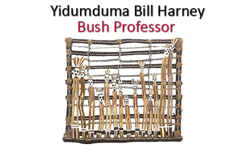 Yidumduma Bill Harney exhibition thumbnail