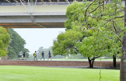 Casuarina campus bridge